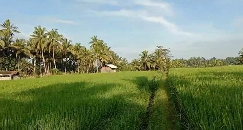Kampung Unik di Lombok, Singgah ke Desa Terpencilnya, Hampir Semua Warga Punya Ilmu Hitam