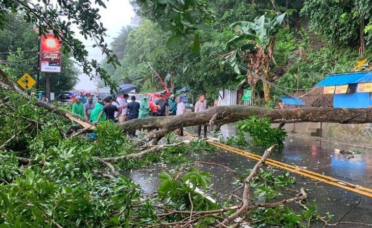 Cuaca Ekstrem Landa Ambon, Longsor dan Pohon Tumbang Terjadi di Sejumlah Titik