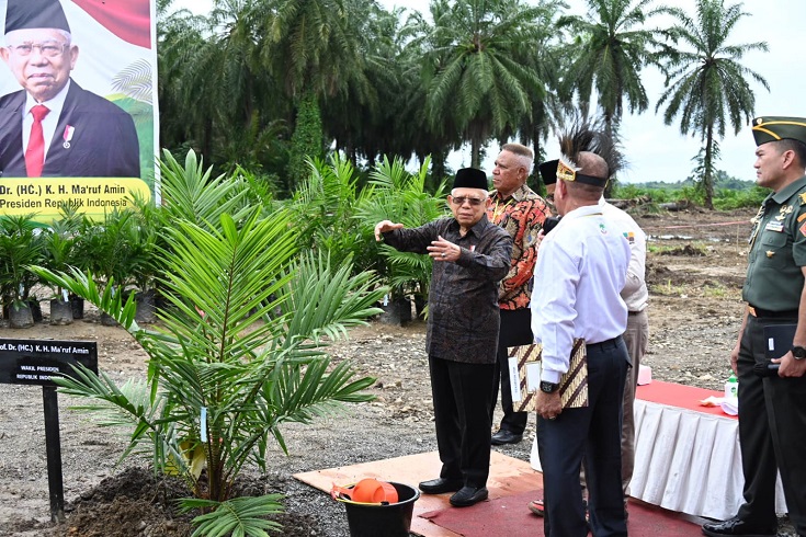 Wapres Ma'ruf Amin Minta Pembangunan Pabrik Kelapa Sawit di Manokwari Dipercepat