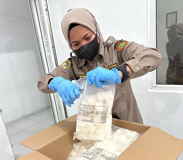 Laris Manis di Jepang, Ekspor Lobak Sumut Tembus 120 Ton Senilai Rp4,4 Miliar 