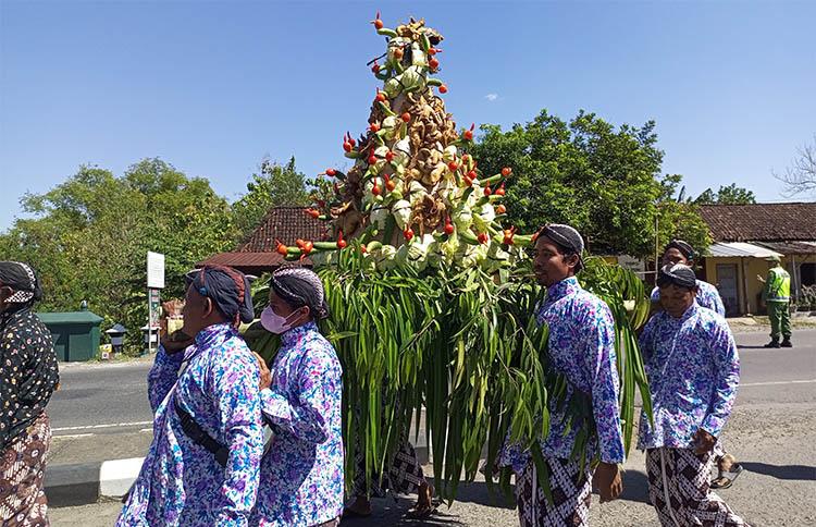 Meriah, Kirab Budaya Sitimulyo Bantul Rebutkan 2 Gunungan Ingkung Ayam