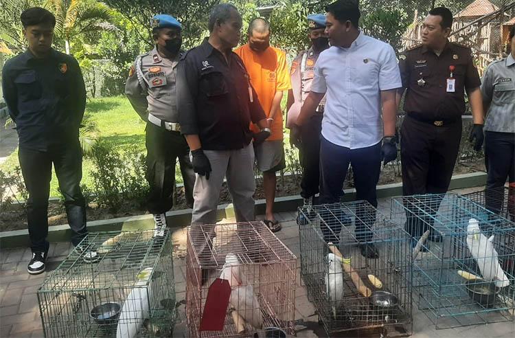 Tergiur Untung Besar, Pemuda Kendal Jual Hewan Langka Ditangkap Polisi