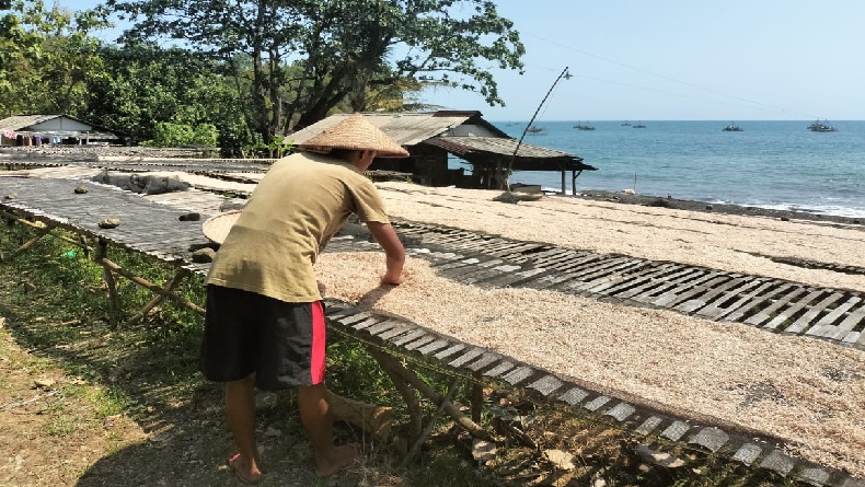 Panas Terik Matahari Musim Kemarau Berkah bagi Perajin Ikan Asin Cilegok Sukabumi