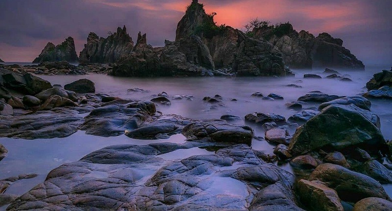 Surga Tersembunyi di Lampung, Singgah ke Pantai Gigi Hiu dan Lihat Mamalia yang Terancam Punah 