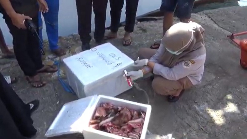 Petugas Gagalkan Penyelundupan Daging Babi di Pelabuhan Parepare, Akan Dikirim ke Samarinda