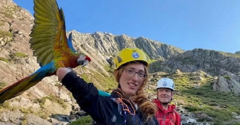 Kejar Burung Beo Kesayangan, Perempuan Ini Terjebak di Puncak Gunung