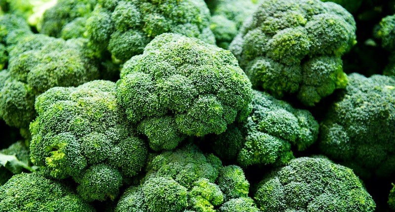 Cara Mudah Bersihkan Cacing pada Brokoli dan Kubis Sebelum Dimasak