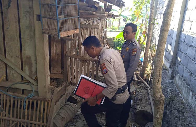 Kambing di Depok Dicuri Sisakan Jeroan, Polisi Turun Tangan