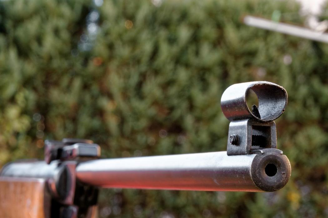 Kakek  Pengidap Alzheimer Tembak Mati Istri sedang Tidur, setelah Itu....