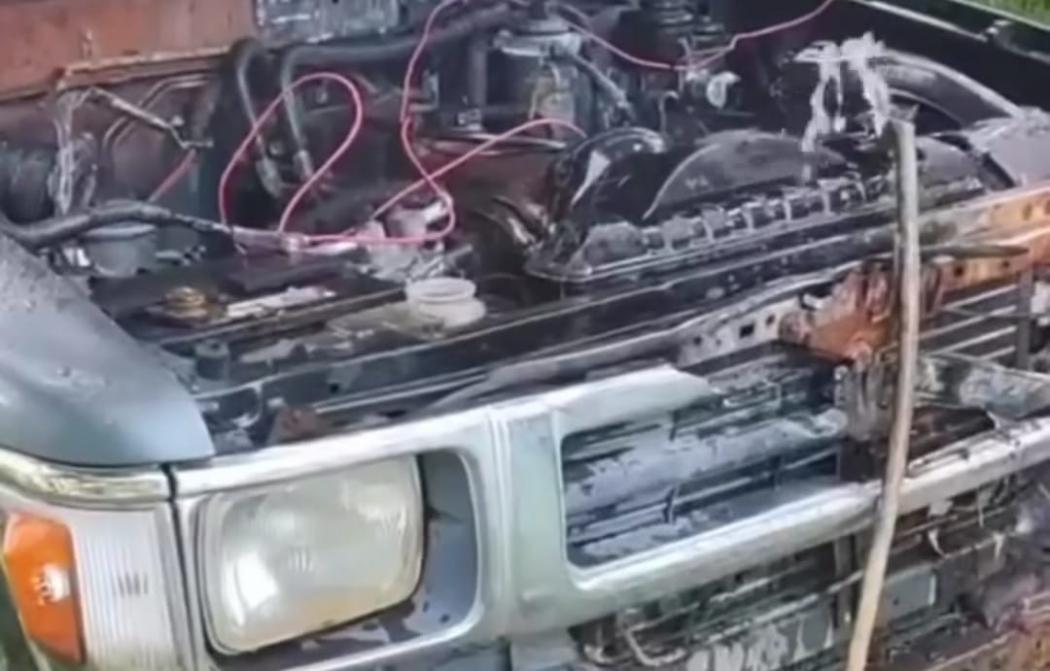 Viral Mobil Terbengkalai Sudah Ditumbuhi Rumput, Mesinnya Masih Bisa Hidup