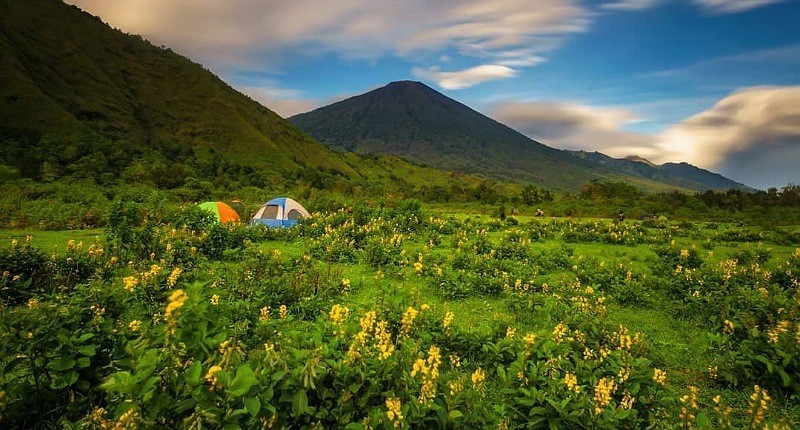 Surga Tersembunyi di Gunung Rinjani, Unik Ada Savana Hijau Mirip Permadani Raksasa
