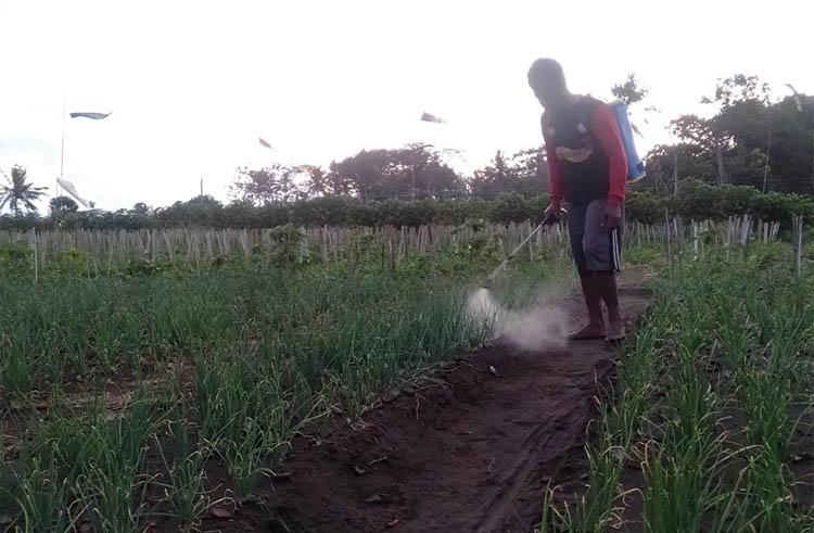 Khawatir Lahan Diserobot Investor, Petani Pesisir Bantul Berharap Sultan Beri Kekancingan 
