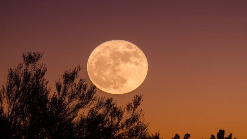 Malam Ini Ada Supermoon 5 November 2025, Catat Jamnya!