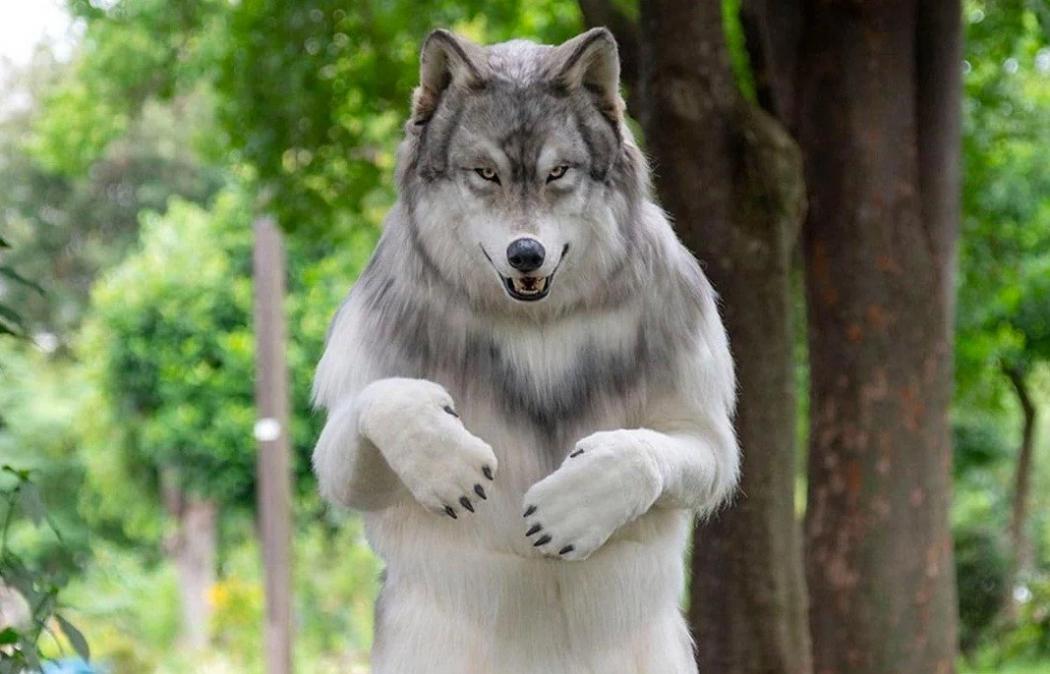 Pria Ini Rela Habiskan Ratusan Juta Rupiah demi Berubah Jadi Serigala