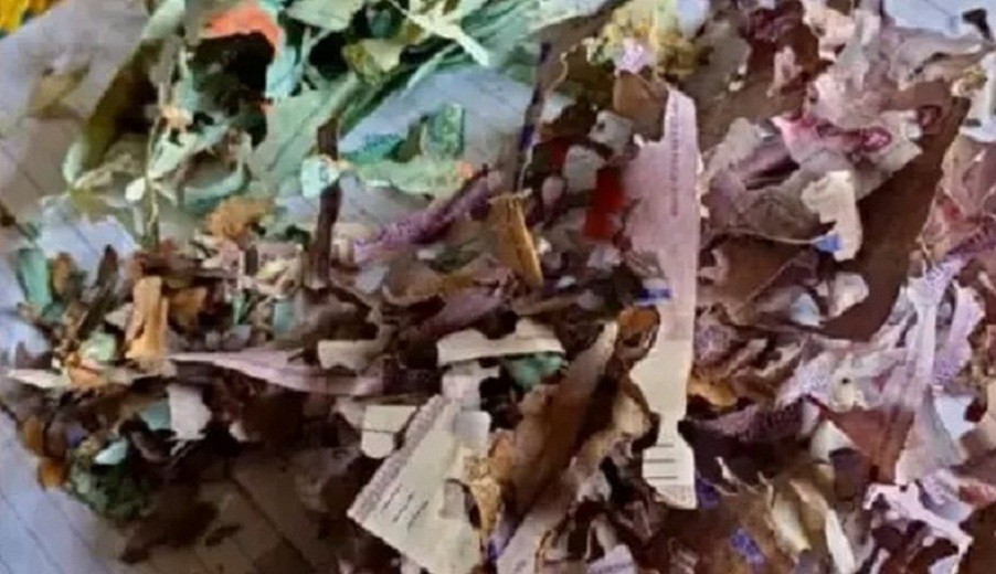 Duh! Uang Rp100 Juta untuk Naik Haji Hancur Dimakan Rayap, Ditabung Bertahun-tahun 