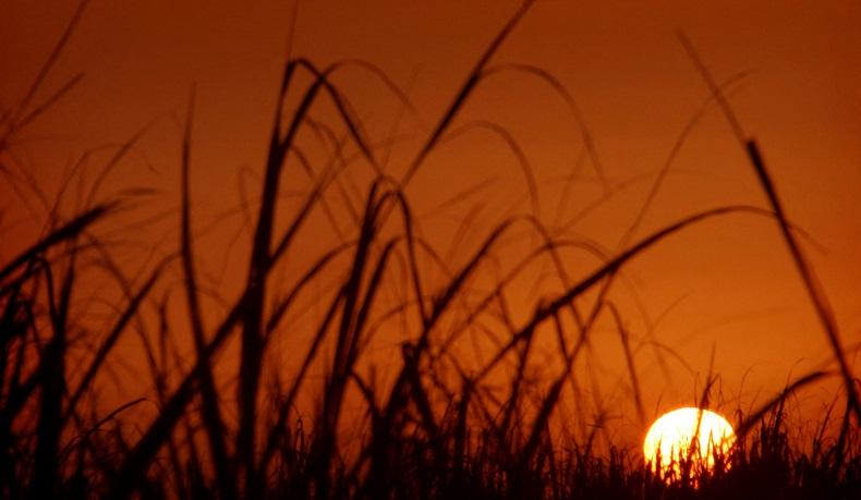 Bumi Makin Panas, BMKG: Rekor Suhu Global 2023 Pecahkan Rekor!