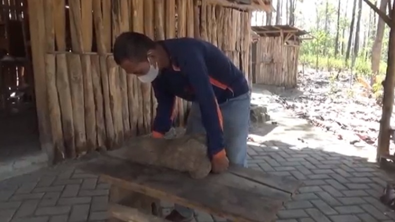 Fosil Kaki Gajah Purba Ditemukan di Hutan Tritik Nganjuk, Usia Diperkirakan 800.000 Tahun