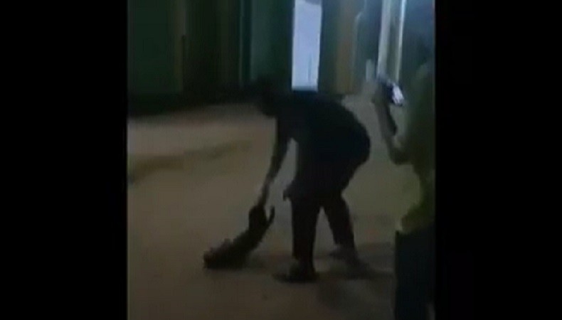 Viral Bocah Aniaya Anjing hingga Mati di Natuna, 4 Pelaku Mengaku Iseng