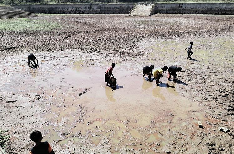 Ratusan Telaga di Gunungkidul Kering akibat Kemarau Panjang