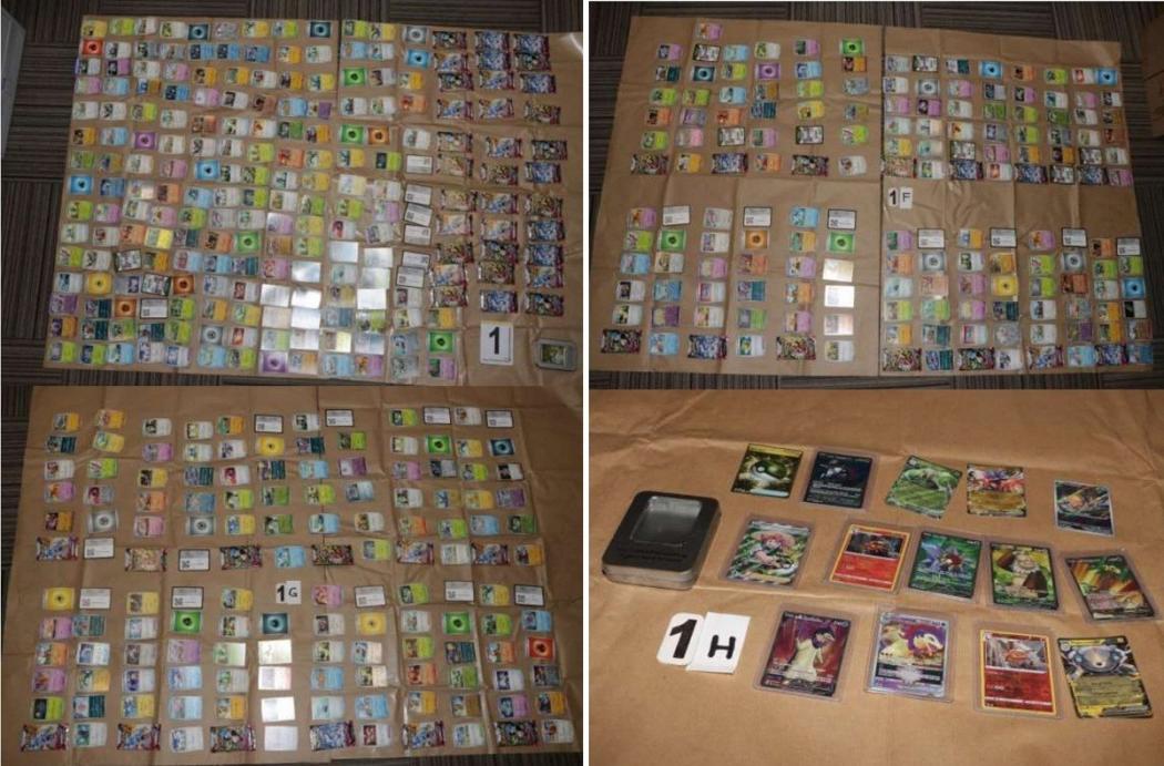Pemuda Ini Ditangkap Polisi gara-gara Punya 500 Kartu Pokemon