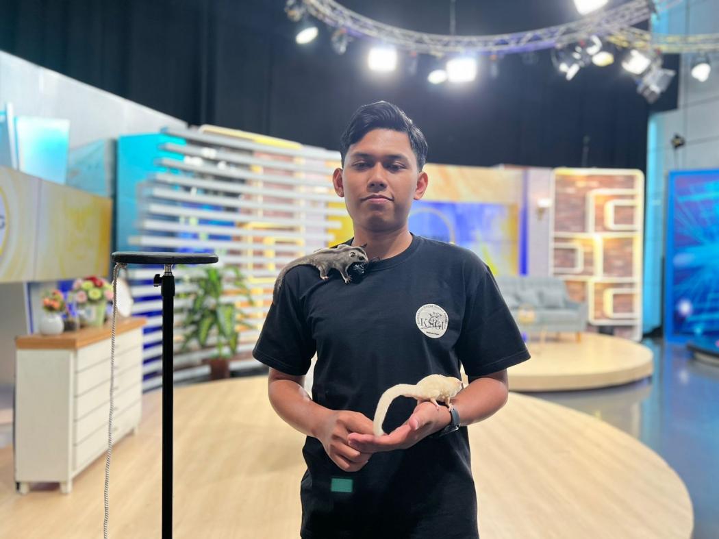 Simak Fakta Menarik Hewan Gemas Sugar Glider di Morning Update iNews