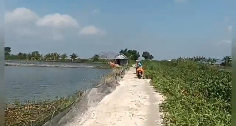 Kampung Unik di Tuban, Hanya di Desa Terpencil Ini Permukimannya Mengapung dan Terisolir saat Hujan