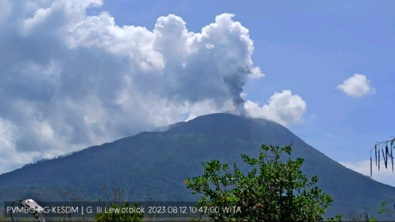 Gunung Ile Lewotolok Erupsi, Tinggi Letusan 800 Meter