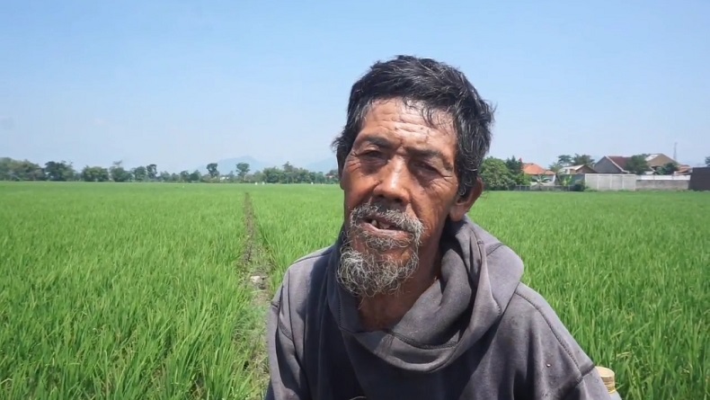 Petani di Bojongsoang Bandung Terpaksa Pakai Air Sungai Citarum agar Sawah Tak Kekeringan