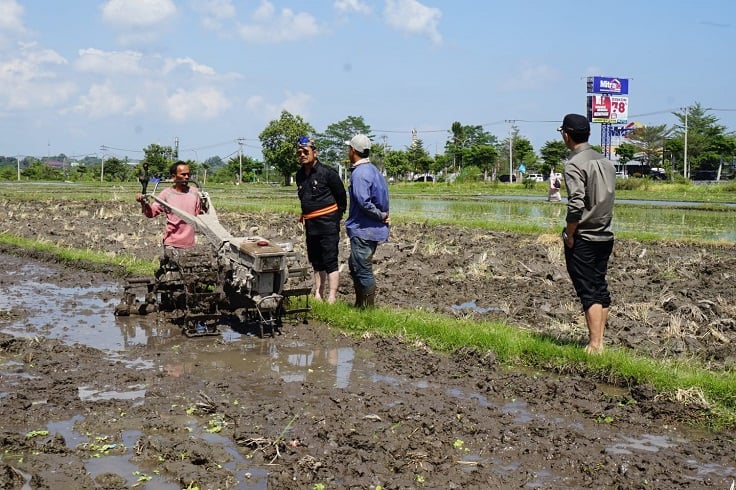 Mentan Dorong NTB Jadi Penyangga Pangan Indonesia Timur untuk Hadapi El Nino