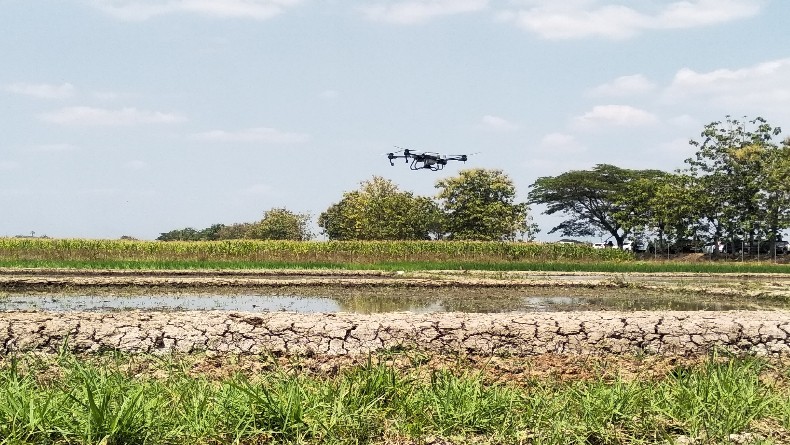 Tebar Benih hingga Semprot Obat Pakai Drone, Petani Hemat Jutaan Rupiah Pangkas Biaya Kuli