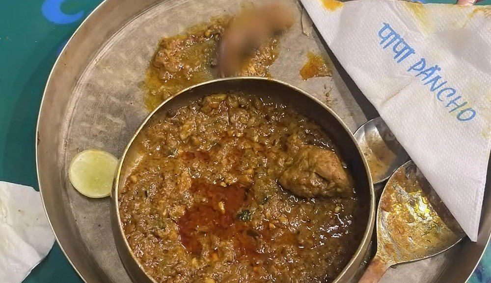 Ih Jijik! Bayi Tikus Terkunyah saat Makan Malam di Restoran, Dikira Kari Ayam