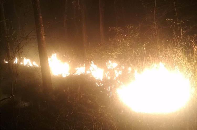 Hutan Jati Milik Perhutani di Semin Gunungkidul Terbakar
