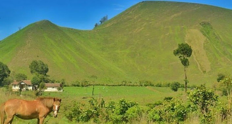 5 Surga Tersembunyi di Jawa Timur, Singgah ke Sumenep Ada Pulau yang Bikin Awet Muda