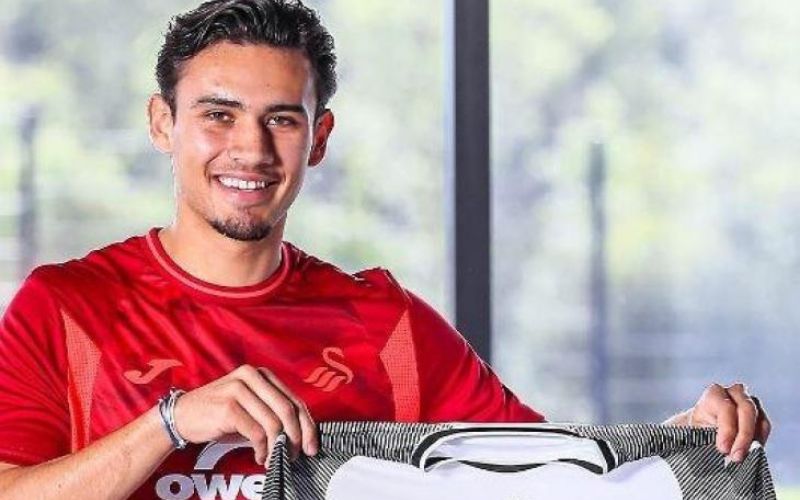 Profil dan Biodata Nathan Tjoe-A-On, Pemain Keturunan Indonesia yang Perkuat Swansea City