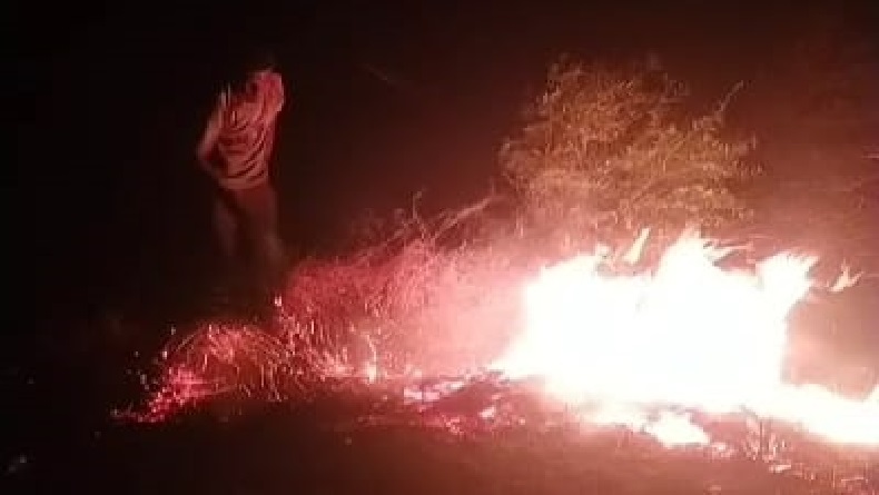 3 Hektare Areal Hutan Pohon Kayu Putih di Terisi Indramayu Hangus Terbakar