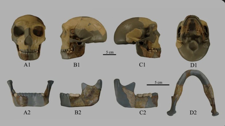 Ilmuwan Temukan Tengkorak Manusia Purba, Berbeda dengan yang Pernah Dilihat Sebelumnya