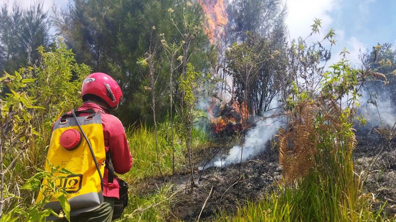  Kebakaran Landa Kawasan Gunung Semeru, Petugas Gabungan Berjibaku Padamkan Api