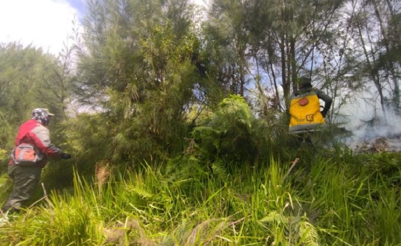 2 Hari Kebakaran di Gunung Semeru Belum Padam, Lokasi Jauh Sulitkan Petugas 