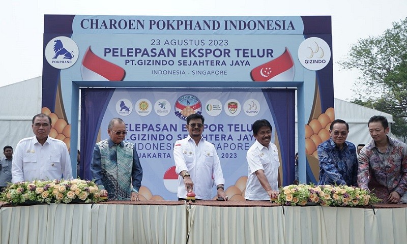 Mantap, Produk Telur Indonesia Diekspor ke Singapura Senilai Rp19,4 Miliar