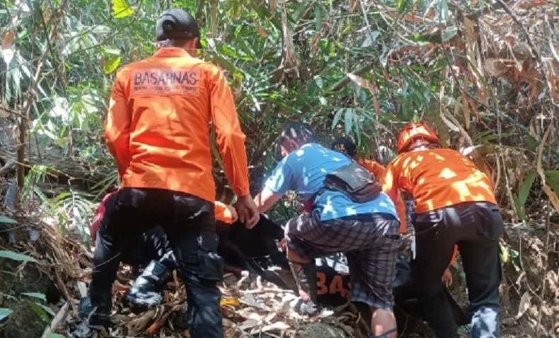 7 Hari Hilang, Kakek 80 Tahun di Buleleng Ditemukan Tewas dalam Jurang 
