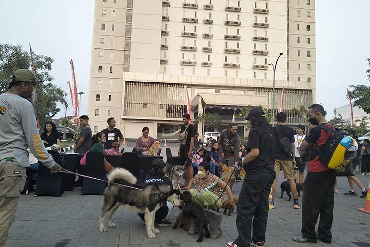 Meriah, Puluhan Pecinta Anjing Berkumpul dalam Next Pet Garden