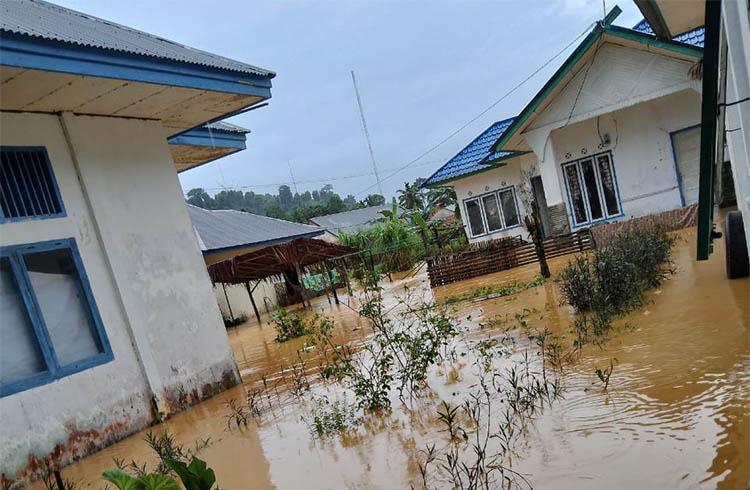 Puluhan Rumah di Mentawai Terendam Banjir  