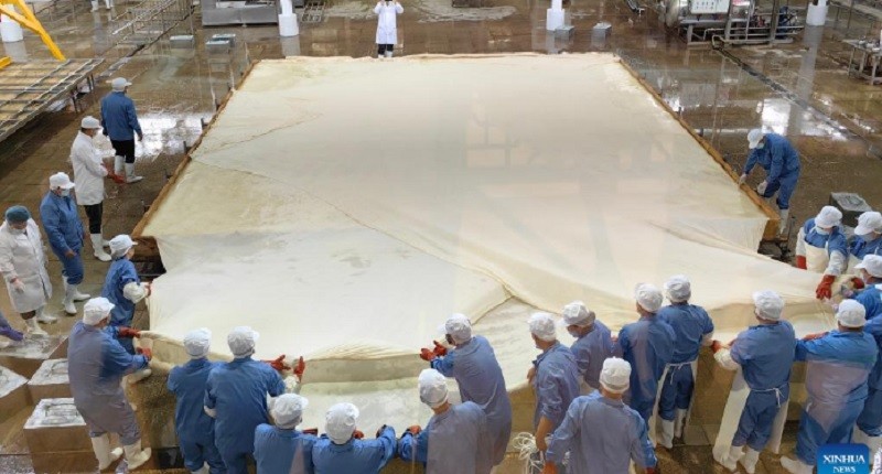 Viral Tahu Terbesar di Dunia Punya Panjang 8 Meter, Begini Cara Buatnya!