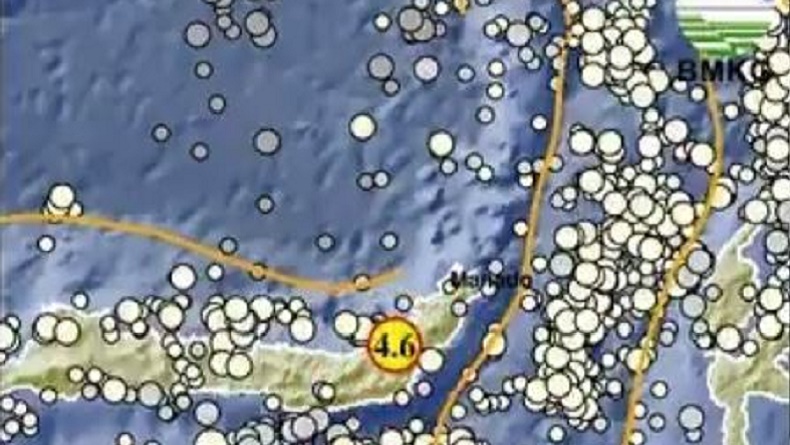 Gempa Bumi Hari Ini Bermagnitudo 4,6 Guncang Kotamobagu Sulut