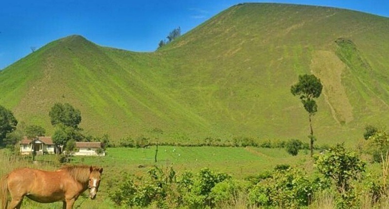 5 Surga Tersembunyi di Bondowoso, Ada Savana Hijau Suasananya seperti di Selandia Baru!