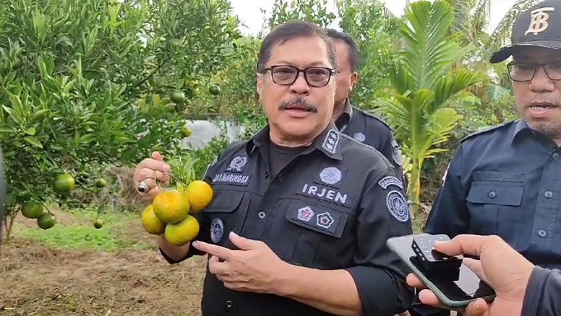 Jaga Ketahanan Pangan, Irjen Kementan Beri Bantuan Bibit dan Tanam Pohon di Singkawang