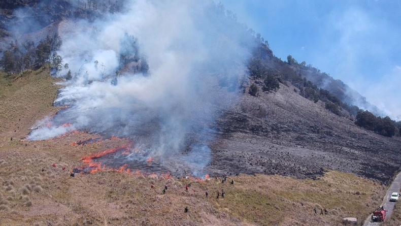 Kebakaran Lahan Gunung Bromo Hari Kelima, Titik Api Terus Meluas