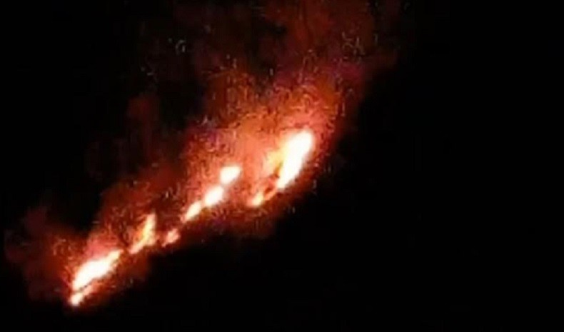 Niat Usir Kera, Warga Gunungkidul malah Picu Kebakaran Lahan 