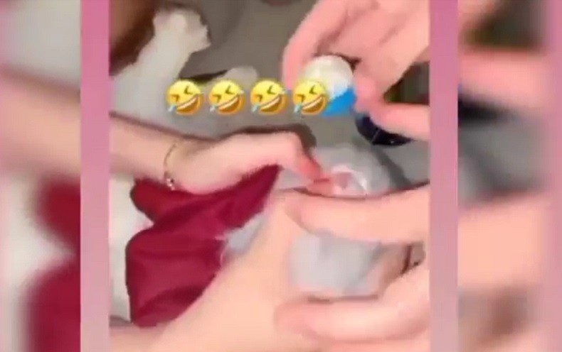 Video Viral Kucing Dicekoki Miras, 3 Mahasiswi di Padang Digeruduk Warga