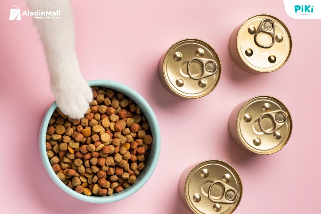 Ingin Anabul Lebih Sehat dan Aktif? Ini Tips Beri Makanan Bernutrisi untuk Anjing dan Kucing